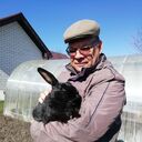 ���������� �������, ���� ������� ���, 64 ����, ������������ ��� ������, ����� � ���������, c�������� ���������