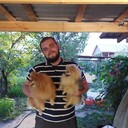 ���������� ���������, ���� ������� ����, 31 ���, ������������ ��� ������, ����� � ���������