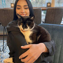 ���������� ������, ���� ������� �����, 26 ���, ������������ ��� ������, ����� � ���������, c�������� ���������