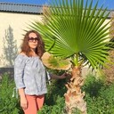 ���������� ���������, ���� ������� �����, 48 ���, ������������ ��� ����� � ���������, c�������� ���������