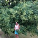 ���������� ��������, ���� ������� �����, 53 ����, ������������ ��� ������, ����� � ���������, c�������� ���������