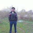 ���������� ������, ���� ������� Alim, 44 ����, ������������ ��� ������, ����� � ���������, c�������� ���������