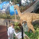 ���������� ������, ���� ������� ������, 50 ���, ������������ ��� ������