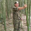 ���������� �������, ���� ������� Vezlivue, 49 ���, ������������ ��� ����� � ���������, c�������� ���������