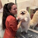  -,   , 42 ,     , c , 