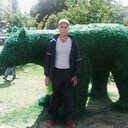 ���������� ������, ���� ������� ˸��, 41 ���, ������������ ��� ������, ����� � ���������