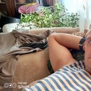  ,   Alexander, 38 ,   ,   , c , 