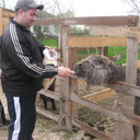 ���������� ����������, ���� ������� ������, 45 ���, ������������ ��� ������, ����� � ���������, c�������� ���������