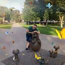 ���������� ����, ���� ������� ����, 43 ����, ������������ 