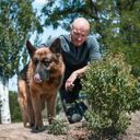 ���������� ����������, ���� ������� �������, 40 ���, ������������ ��� ������, ����� � ���������, c�������� ���������