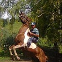 ���������� ������, ���� ������� �������, 37 ���, ������������ ��� ������, ����� � ���������