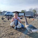 ���������� �������, ���� ������� �����, 43 ����, ������������ ��� c�������� ���������