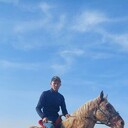 ���������� ������, ���� ������� ��������, 38 ���, ������������ ��� ������, ����� � ���������