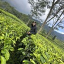 ���������� ���������, ���� ������� ����, 31 ���, ������������ ��� ������, ����� � ���������, c�������� ���������, ���������