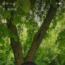 ���������� ���������, ���� ������� �����, 34 ����, ������������ ��� ������, ����� � ���������, c�������� ���������