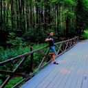 ���������� Homberg, ���� ������� Avaz, 39 ���, ������������ ��� ������, ����� � ���������