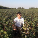 ���������� ������, ���� ������� ������, 32 ����, ������������ ��� ������, ����� � ���������, c�������� ���������