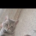  ,   , 27 ,     , c 
