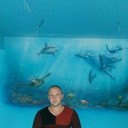 ���������� �����, ���� ������� ������, 36 ���, ������������ ��� ����� � ���������, c�������� ���������