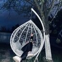 ���������� �����, ���� ������� ���, 29 ���, ������������ ��� c�������� ���������, ���������