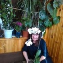 ���������� ������, ���� ������� ���������, 63 ����, ������������ ��� ����� � ���������, c�������� ���������