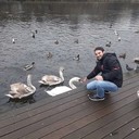  ,   Rauf, 39 ,   ,   , c 