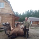 ���������� ������������, ���� ������� �������, 36 ���, ������������ ��� ������, ����� � ���������, c�������� ���������