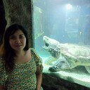  ,   , 37 ,   ,   , 
