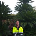 ���������� �������, ���� ������� �����, 47 ���, ������������ 