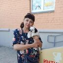 ���������� ���������, ���� ������� ������, 54 ����, ������������ ��� c�������� ���������