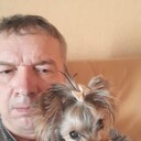 -,   , 55 ,   ,   