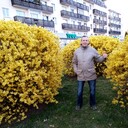  ,   , 63 ,   ,   , c 