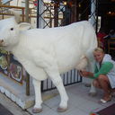 ���������� ������, ���� ������� ��������, 55 ���, ������������ ��� ������, ����� � ���������, c�������� ���������