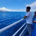 ���������� �������, ���� ������� Jovoxir, 36 ���, ������������ ��� ������, ����� � ���������