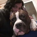 ���������� ������, ���� ������� �������, 38 ���, ������������ ��� ������, c�������� ���������