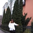  ,   , 62 ,  