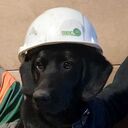 ���������� �������, ���� ������� ANDREI, 40 ���, ������������ ��� ������, ����� � ���������