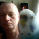  ,   , 51 ,     
