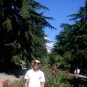  ,   , 39 ,   ,   , c 