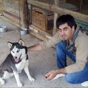 ���������� ���������� �����, ���� ������� �����, 39 ���, ������������ ��� ����� � ���������, c�������� ���������