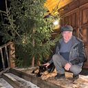 ���������� �������, ���� ������� ������, 63 ����, ������������ ��� ������, ����� � ���������, c�������� ���������