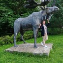 ���������� ������, ���� ������� ��������, 49 ���, ������������ ��� c�������� ���������