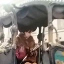 ���������� ������, ���� ������� ������, 51 ���, ������������ ��� ����� � ���������, c�������� ���������