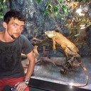 ���������� �����������, ���� ������� ����, 36 ���, ������������ ��� ������, ����� � ���������, c�������� ���������