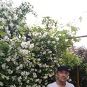  ,   , 62 ,   ,   , c 