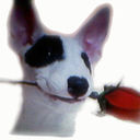 ���������� ������, ���� ������� ����, 58 ���, ������������ ��� ����� � ���������, c�������� ���������