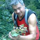 ���������� ����, ���� ������� �������, 59 ���, ������������ ��� ������