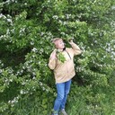  ,   , 58 ,     , c 