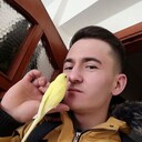 ���������� ������, ���� ������� �����, 31 ���, ������������ ��� ����� � ���������, c�������� ���������