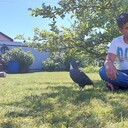 ���������� �����-���������, ���� ������� �����, 42 ����, ������������ ��� ������, ����� � ���������